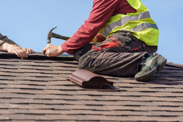 Roof Gutter Cleaning in Ridge Wood Heights, FL