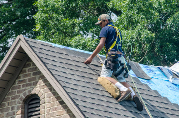 Quick and Trustworthy Emergency Roof Repair Services in Ridge Wood Heights, FL